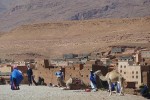 errachidia-camellos