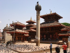 Las palomas son parte del paisaje de los templos.