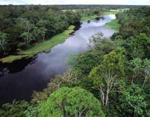 El río Tuichi corre rodeado por la selva.